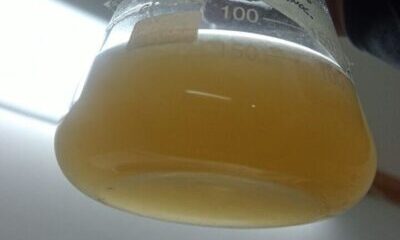 Equipo BCT en acción